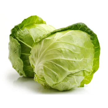 Cabbage (35)-2968764-12029.webp